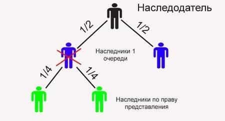 Наследование по праву представления: порядок, очередность наследников